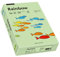 Papyrus 88042637 Farbiges Kopierpapier, Bastelpapier: Rainbow 160 g/m², A4, 250 Blatt mittelgrün