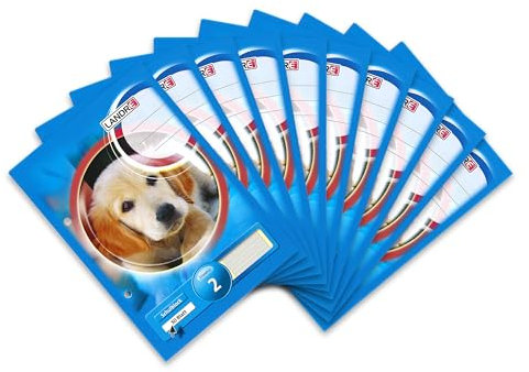 Landré Schulblock A5, Lineatur 2, liniert (2. Klasse), 50 Blatt, 80 g/m², 10 Stück