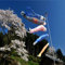 1 Set of 5 Japanese Flag Carp Banners Windsock Sailfish Koinobori Wind Streamer Muticolor Fish