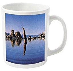 Plastic Head Pink Floyd, Wish You were HERE-Lake