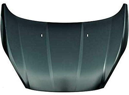 DIEDERICHS 1405100 Motorhaube