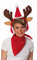 Rubie's Generique - Elch-Haarreif für Weihnachten Ohrenwärmer braun-rot-Weiss