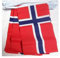 AZ FLAG - Fahnenkette Norwegen 6 Meter Mit 20 Flaggen - 21x14 cm - Norwegische Girlande Flaggenkette 14 x 21 cm