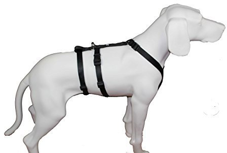 Feltmann NoExit Hundegeschirr, schwarz Uni, 20mm/55-75cm