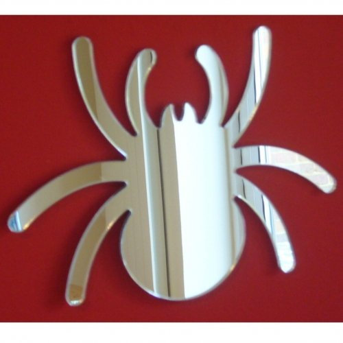 Super Cool Creations Spiegel mit Springender Spinne, 20 x 15 cm