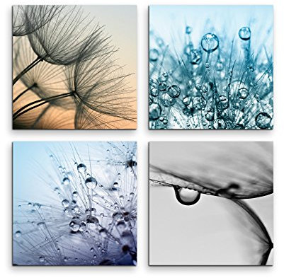 Paul Sinus Art 4 teiliges Leinwandbild je 30x30cm - Pusteblume Wassertropfen Makroaufnahme