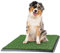 Artificial Grass Puppy Pee Pad for Dogs and Small Pets - 20x25 Reusable 3-Layer Training Potty Pad with Tray - Dog Housebreaking Supplies by PETMAKER, Green