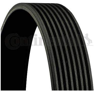 CONTITECH 8PK1560 Keilrippenriemen Kompatibel mit VOLVO FH III 20997774 980481 3911573