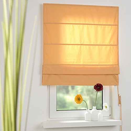 Liedeco Raffrollo Dakar Uni, Rollo mit Seitenzug für Fenster und Tür mango, 60 cm x 175 cm (B x L)
