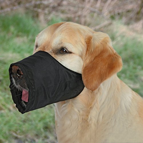 TRIXIE Maulschlaufe für Hunde - 12 cm Korbumfang - 4,3 cm Korblänge - z.B. für Tierarztbesuche oder Bahnfahrten - stufenlos verstellbarer Genickriemen - Schnappverschluss - 1920