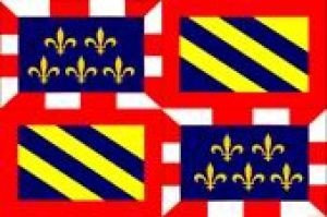 Flagge Fahne Burgund Frankreich 90x150cm