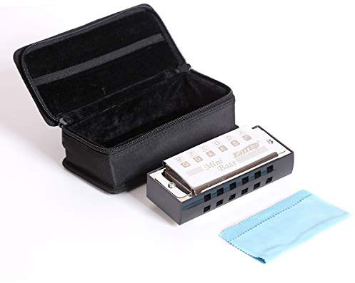 East Top Bass Harmonica Professionelle Orchester-Mundharmonika T1-1, Professionelle Mundharmonika für Erwachsene, professionelle Bandspieler und Mundharmonika-Liebhaber