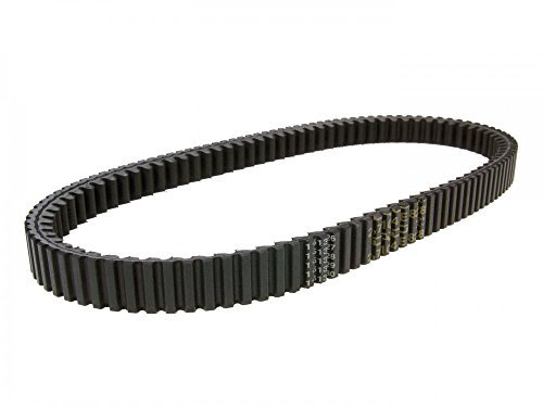 DAYCO 8228 K Keilriemen geriffelt,