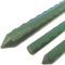 TENAX - Tuteur acier plastifié H:1.80m
