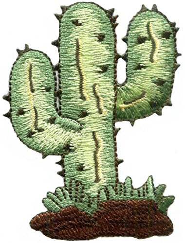 Aufnäher zum Aufbügeln, Kaktus-Wüstenblume, Südwest, bestickt, zum Aufbügeln, S-1206