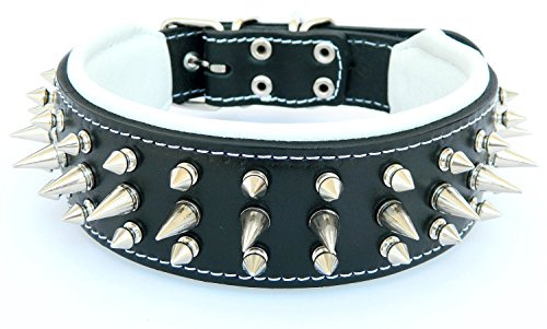 Bestia Danger Echtleder Hundehalsband mit Schraubspitzen | Größe XXL- 65 bis 75 cm Halsumfang, für große und mittelgroße Hunde, Polsterung Weiss, 6,5 cm breit