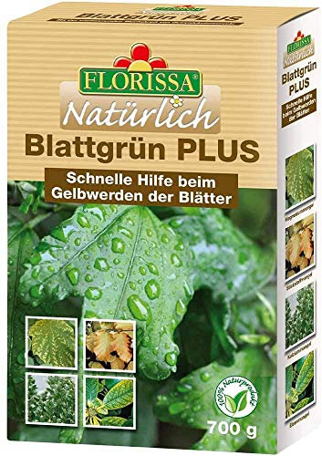 Florissa Blattgrün PLUS