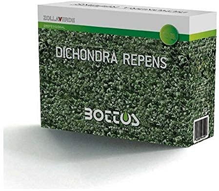 Sementi per Prato di Dicondra Repens - 100 g