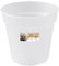 Elho Green Basics orchidée 17cm - Transparent/Transparent
