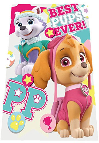 Paw Patrol Fleecedecke Skye and Everest Best Pups Ever, 150 x 100 cm