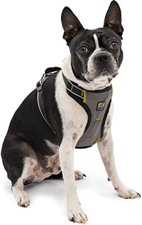 Kurgo Impact Hunde-Autogeschirr, Crashtest-geprüft für mehr Sicherheit, Für Hunde von 5-11 kg geeignet, Größe S, Schwarz