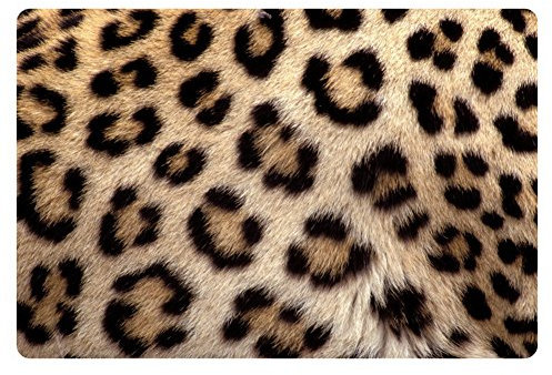 HUGS IDEA Fashion Sexy Fußmatte mit Leopardenmuster, für Eingangsbereich und Eingangsbereich, dekorativ
