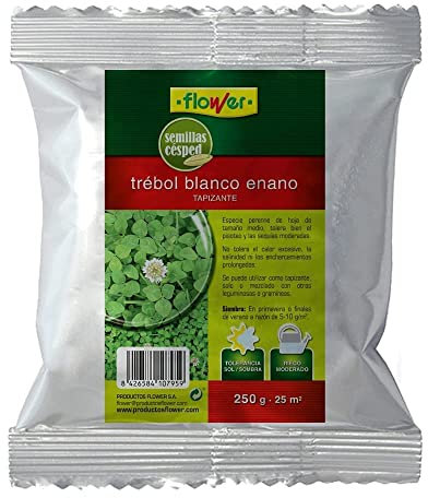 Flower - Semillas Trébol Blanco Enano 250gr | Tapizante Robusto | Tolerancia Sol/Sombra | Riego Moderado | Para 25m2 | Exposición Solar Parcial, 10.3x3.7x14.5 cm, Material Semilla