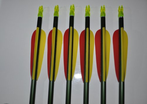 Bogensport Mierzwa 6 Aluminium Pfeile 30 Zoll