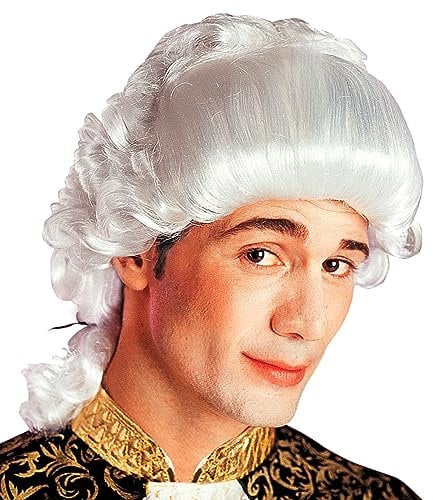 W WIDMANN MILANO Party Fashion A6028 - Perücke Venezianer, grau, 18. und 19. Jahrhundert, Mottoparty, Karneval