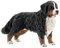 SCHLEICH Farm World | Berner Sennenhündin 16397 Bauernhof Spielfigur | detailgetreue Tierfiguren | tolles Geschenk für Jungen und Mädchen | Bauernhof Spielzeug ab 3 Jahre | 3 x 8 x 5 cm