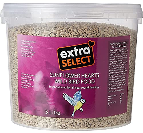 Extra Select Sunflower Hearts Bird Food - Husk-Free, Oil Rich, High Energy Wild Bird Seed for Year Round Feeding - 5 Litre Bucket