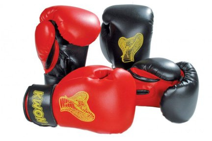 KWON Boxhandschuhe für Kinder, Cobra