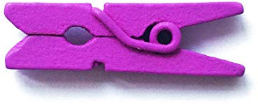 LWR CRAFTS Mini pinces à linge en bois 15 couleurs 100 par paquet 1 2,5 cm (violet)