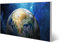 banjado® Magnettafel silber 78 x 37cm / Magnetwand aus Metall/Magnetpinnwand Memoboard/Pinnwand Magnettafel Küche, Büro, Kinderzimmer inkl. 4 Magnete & Montageset Motiv Erdkugel