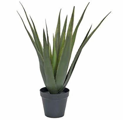 Künstliche Aloe Vera Pflanze, Kunstpflanze mit 18 Kunststoff Blätter im dekorativen Topf, Höhe ca. 56 cm