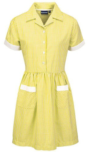 Blue Max Banner Girl's Ayr Short Sleeve Gingham School Dress