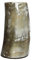 Abbeyhorn The Scotland Kilt Company New Real Natural Viking Drinking Horn - Game of Thrones - Mug Cup - Utensil