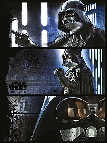 Star Wars Rogue One Vader Panels, 60 x 80 cm, Leinwanddruck, Mehrfarbig
