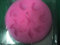 Stampi in Silicone Assortito per: FIMO, Pasta Di Zucchero, Cioccolatta, Torta, Dolce e Decorazione in Genere (Serie Mare (Mod.B))