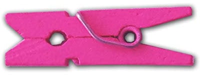 LWR CRAFTS Mini pinces à linge en bois 15 couleurs 100 par paquet 1 2,5 cm (rose vif)