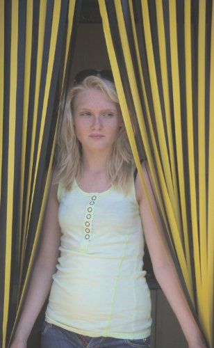 Heavy Duty Bug Blind,Strip Blind/Fly Blind-90cm wide -BUMBLE BEE- Complete With Screw In Fitting Hooks For Wooden Door frames