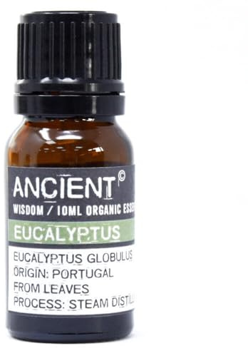 Ancient Wisdom 10 ml Eucalyptus Organic Essential Oil