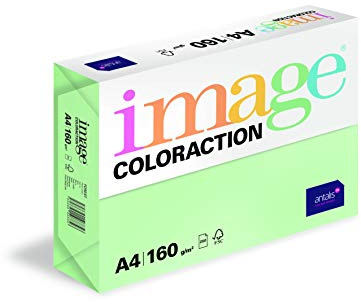 Image Coloraction Forest - farbiges Kopierpapier - DIN A4, 210 x 297 mm, 160 g/m² - buntes, holzfreies Druckerpapier für Kopierer - 250 Blatt - Grün
