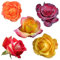 exotische Rosen - verschiedene natürliche Farben - 100 Samen (weiß,pink,gelb,hellgrün,dunkelrot,rosa.) Rosenart : rugosa Rose/Hybrid