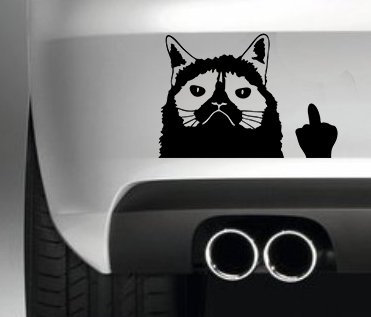 South Coast Stickers Grumpy CAT CAR Bumper Sticker Funny Bumper Sticker CAR Van 4X4 Window PAINTWORK Decal Graphic