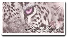 Welcome to My Life Aufkleber Die Augen sind der Spiegel der Seele 13x7cm#A3789