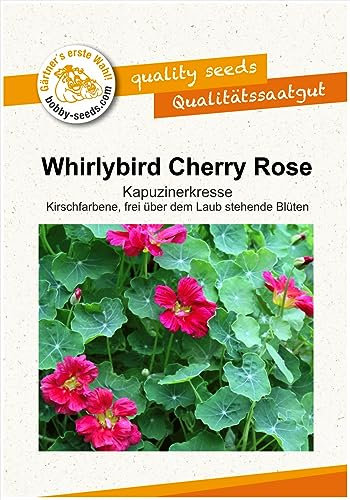 Blumensamen Whirlybird Cherry Rose Kapuzinerkresse Portion