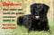 Nanyuk +++ Labrador Retriever - Metall Warnschild Schild Hundeschild Sign - LAB 15 T27