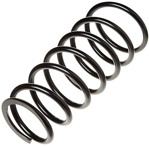 lesjofers 4292536 Coil Spring Rear
