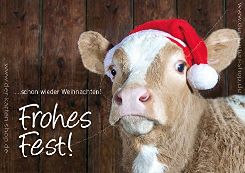 3 Stück Weihnachtskarten Doppelkarte mit Kuvert Weihnachten Weihnachtskarte Kalb, Kuh mit Nikolausmütze Frohes Fest!